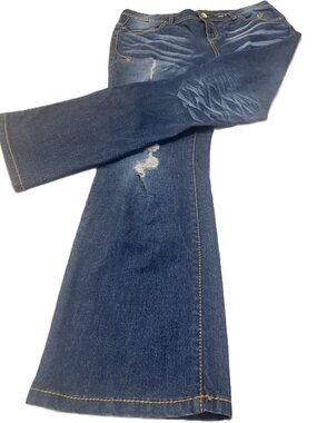 Vintage Y2K Apple Bottoms Embroidered Flare Jeans-Dark Wash Size 20 Plus